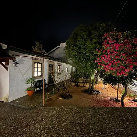 Sauna, Jacuzzi, Firepit, Playground - Oporto And 15min Lejlighed *
