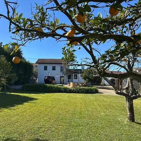 Sauna, Jacuzzi, Firepit, Playground - Oporto And 15min Apartmán Sanfins