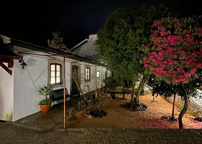 Sauna, Jacuzzi, Firepit, Playground - Oporto And 15min Apartament *