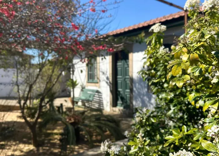 Sauna, Jacuzzi, Firepit, Playground - Oporto And 15min Sanfins