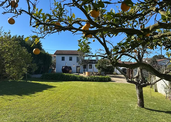 Sauna, Jacuzzi, Firepit, Playground - Oporto And 15min Apartament Sanfins